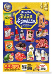 BIGmart Catalog Leaflet cover page