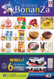 Safari Catalog Leaflet Cover page