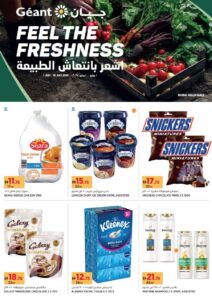 Geant Catalog Leaflet cover page