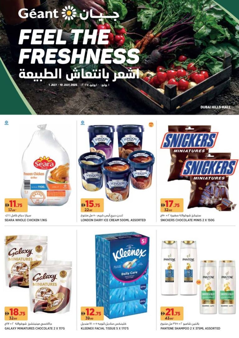 Geant Catalog Leaflet cover page