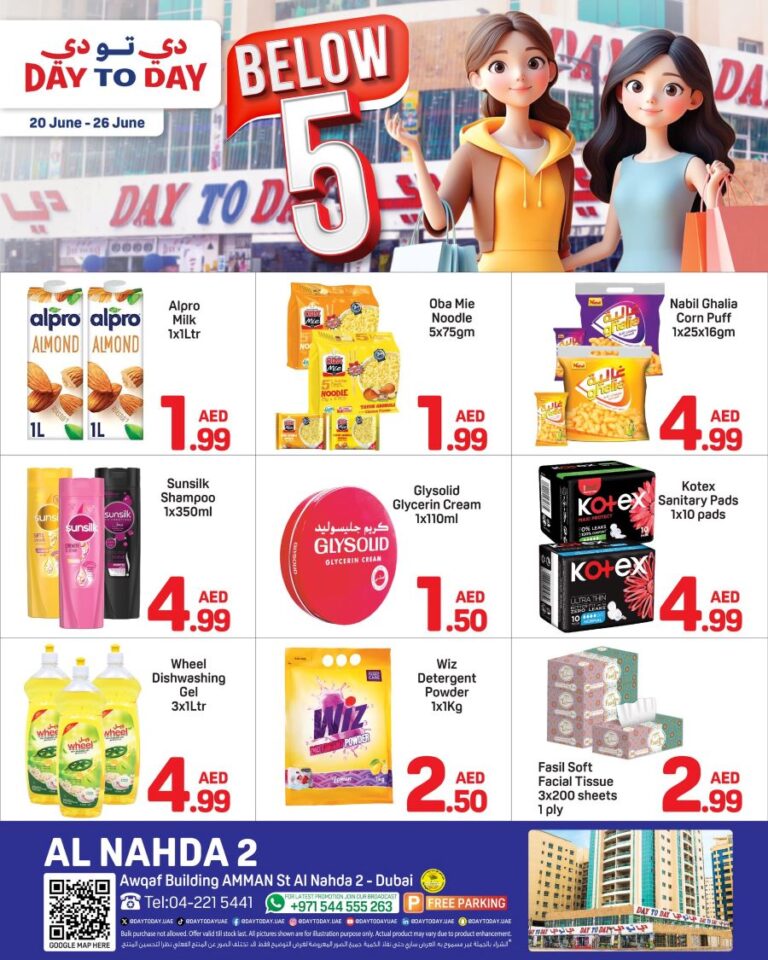 Day to Day Al Nahda Leaflet cover page