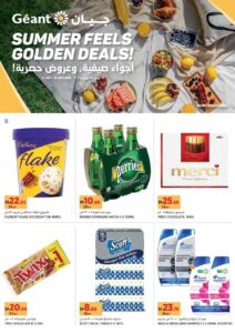 Geant Catalog Leaflet cover page