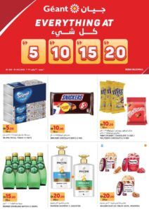 Geant Catalog Leaflet cover page