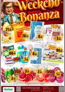 Anbar leaflet cover page
