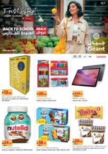 Geant Catalog Leaflet cover page