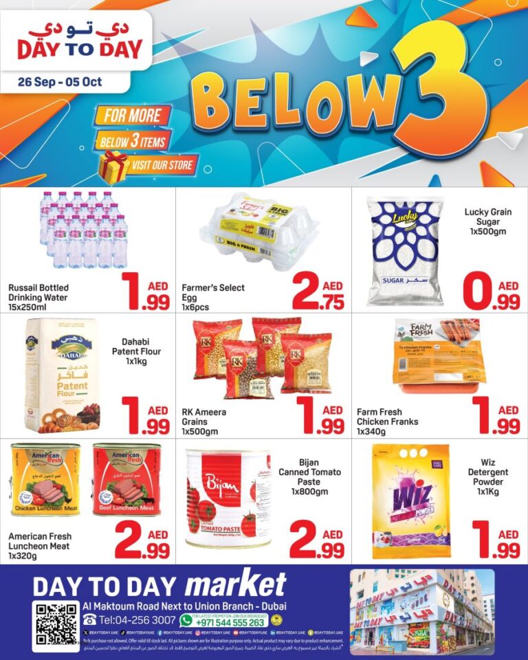Day to Day Union Leaflet cover page