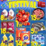 Mohideen leaflet cover page