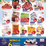 Safari Catalog Leaflet cover page