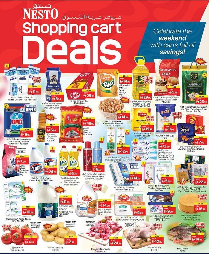 Nesto Satwa offers Catalog cover page